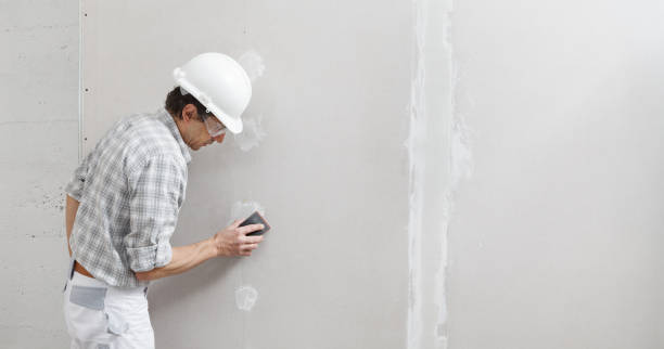 Best Black Mold Removal  in Hamilton, AL