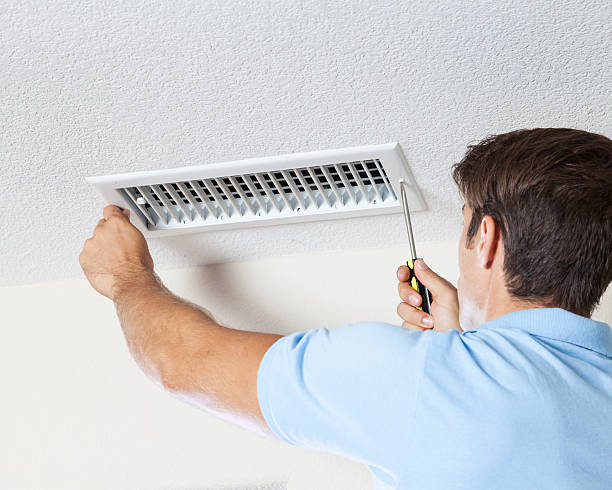 Best Attic Mold Removal  in Hamilton, AL