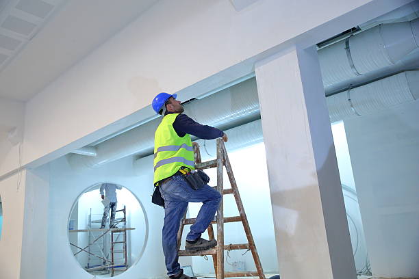 Best Mold Damage Restoration  in Hamilton, AL